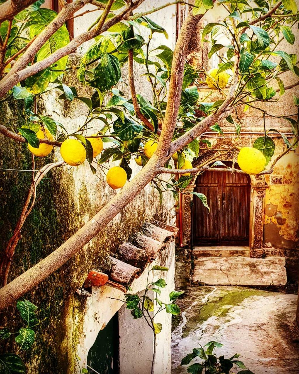 Casa Mazzone Acomodação com café da manhã Ciro Exterior foto